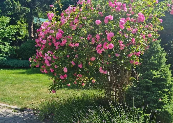 Semesterbostad Lawendowy Zakatek *