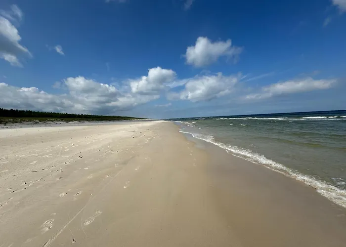 Lawendowy Zakatek Kopalino